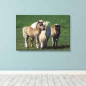 Miniatuur Mare & Foals 1 Canvas Afdruk (Insitu (Houten vloer))