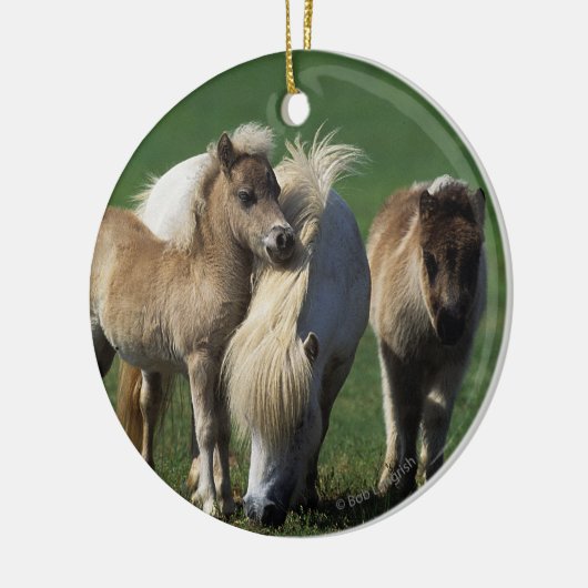 Miniatuur Mare & Foals 1 Keramisch Ornament (Links)