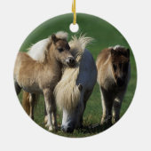 Miniatuur Mare & Foals 1 Keramisch Ornament (Achterkant)