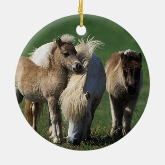 Miniatuur Mare & Foals 1 Keramisch Ornament (Achterkant)