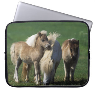 Miniatuur Mare & Foals 1 Laptop Sleeve