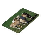 Miniatuur Mare & Foals 1 Magneet (Linkerzijde)