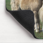 Miniatuur Mare & Foals 1 Muismat (Hoek)