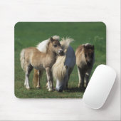 Miniatuur Mare & Foals 1 Muismat (Met muis)