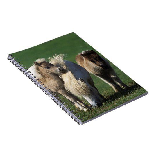 Miniatuur Mare & Foals 1 Notitieboek (Rechterzijde)