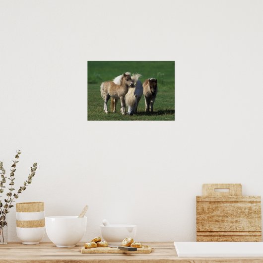Miniatuur Mare & Foals 1 Poster (Keuken)