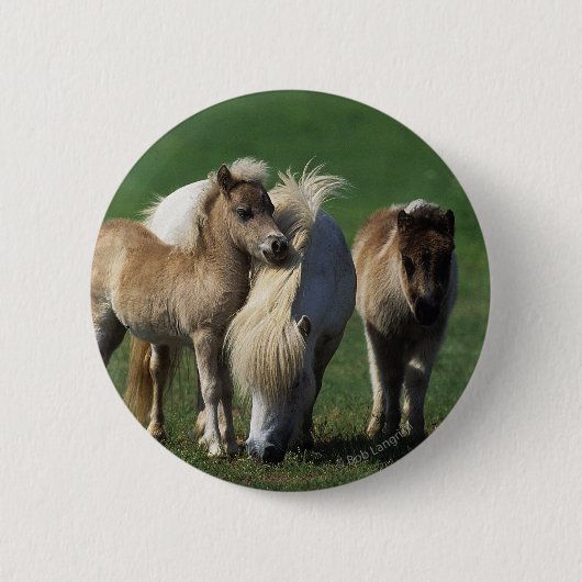 Miniatuur Mare & Foals 1 Ronde Button 5,7 Cm (Voorkant)