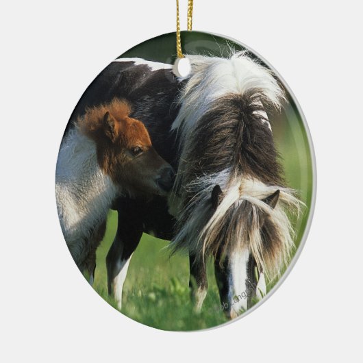 Miniatuur Mare & Foals 2 Keramisch Ornament (Links)