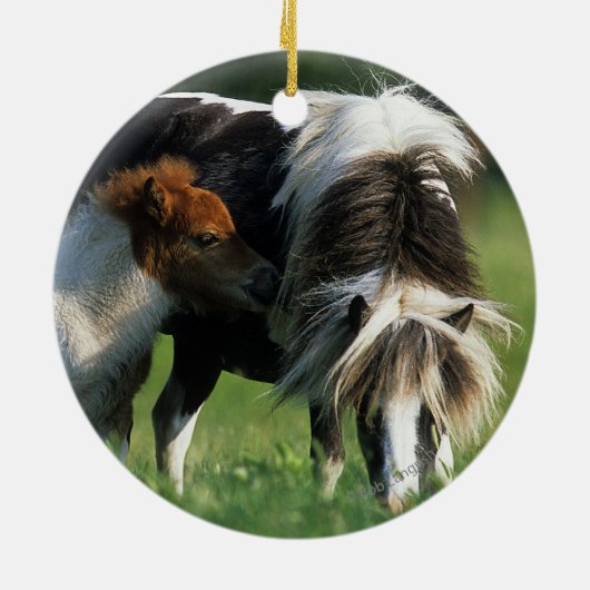 Miniatuur Mare & Foals 2 Keramisch Ornament (Achterkant)