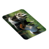 Miniatuur Mare & Foals 2 Magneet (Rechterzijde)