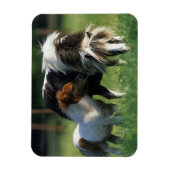 Miniatuur Mare & Foals 2 Magneet (Verticaal)