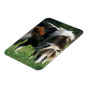 Miniatuur Mare & Foals 2 Magneet (Linkerzijde)