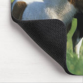 Miniatuur Mare & Foals 2 Muismat (Hoek)