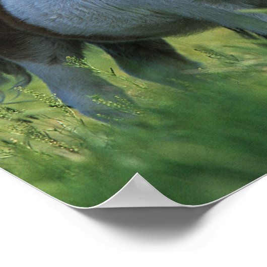 Miniatuur Mare & Foals 2 Poster (Hoek)