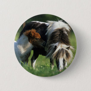 Miniatuur Mare & Foals 2 Ronde Button 5,7 Cm