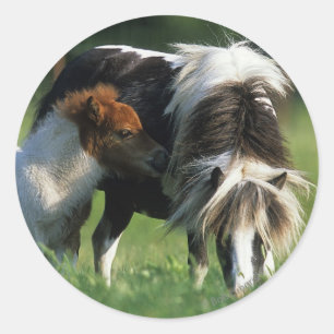 Miniatuur Mare & Foals 2 Ronde Sticker