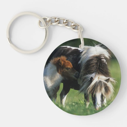 Miniatuur Mare & Foals 2 Sleutelhanger (Voorkant)