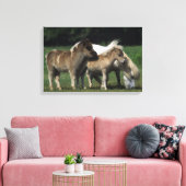 Miniatuur Mare & Foals 3 Canvas Afdruk (Insitu (Woonkamer))
