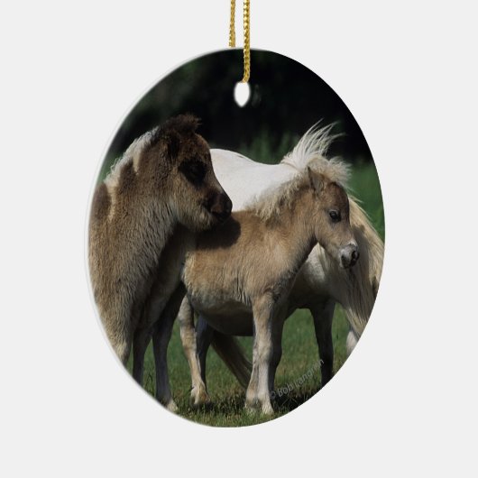 Miniatuur Mare & Foals 3 Keramisch Ornament (Rechts)