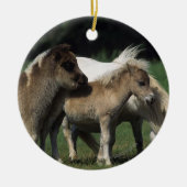 Miniatuur Mare & Foals 3 Keramisch Ornament (Voorkant)