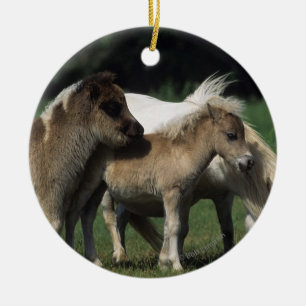 Miniatuur Mare & Foals 3 Keramisch Ornament
