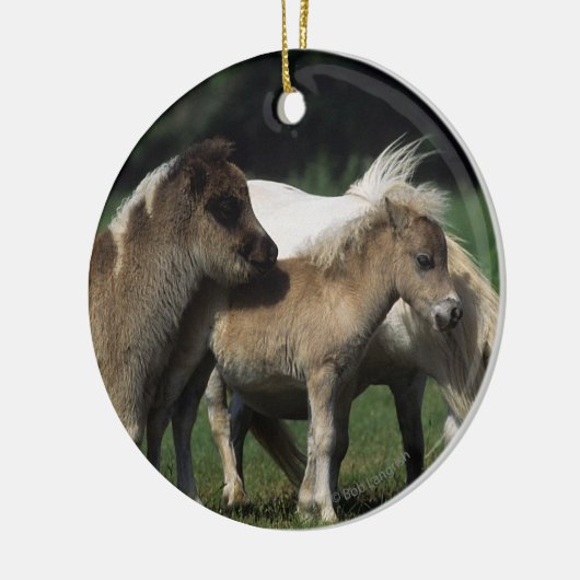 Miniatuur Mare & Foals 3 Keramisch Ornament (Links)