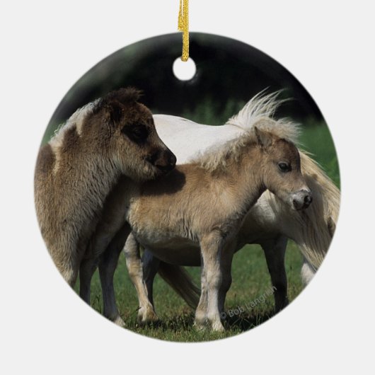 Miniatuur Mare & Foals 3 Keramisch Ornament (Achterkant)