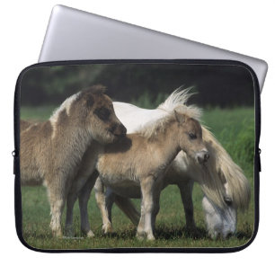 Miniatuur Mare & Foals 3 Laptop Sleeve
