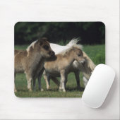 Miniatuur Mare & Foals 3 Muismat (Met muis)