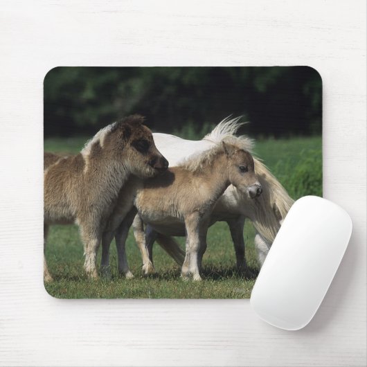 Miniatuur Mare & Foals 3 Muismat (Met muis)