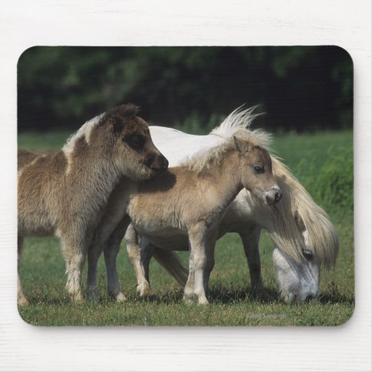 Miniatuur Mare & Foals 3 Muismat (Voorkant)