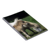 Miniatuur Mare & Foals 3 Notitieboek (Rechterzijde)