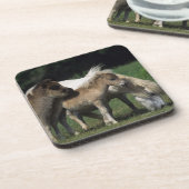 Miniatuur Mare & Foals 3 Onderzetter (Linkerzijde)