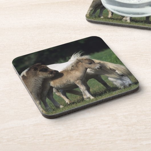 Miniatuur Mare & Foals 3 Onderzetter (Linkerzijde)