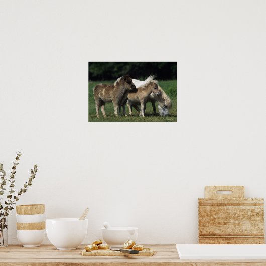 Miniatuur Mare & Foals 3 Poster (Keuken)