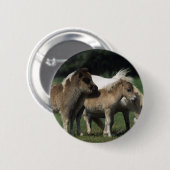 Miniatuur Mare & Foals 3 Ronde Button 5,7 Cm (Voorkant /achterkant)
