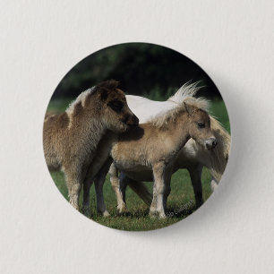Miniatuur Mare & Foals 3 Ronde Button 5,7 Cm