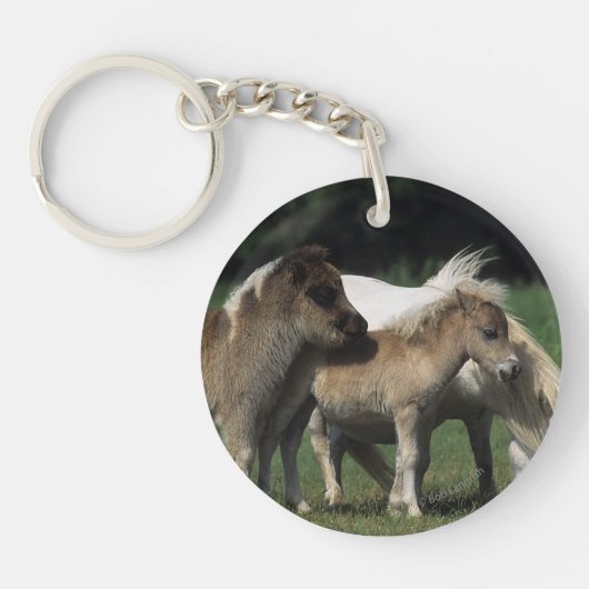 Miniatuur Mare & Foals 3 Sleutelhanger (Voorkant)