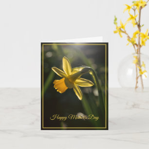 Miniatuur Narcissen Moederdag Kaart