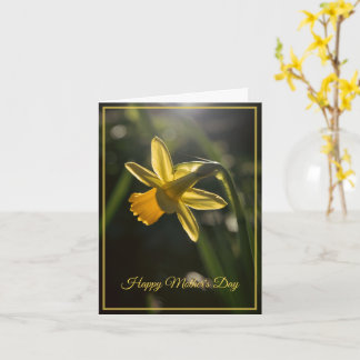 Miniatuur Narcissen Moederdag Kaart