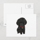 Miniatuur of Speelgoed Poedel - Zwart 1 Briefkaart (Voorkant / Achterkant)