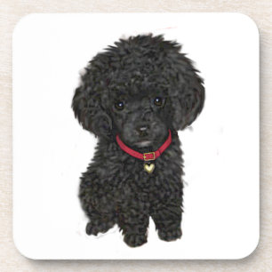 Miniatuur- of Toy Poodle - Zwart 1 Onderzetter