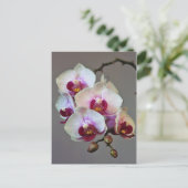 Miniatuur Orchidee Briefkaart (Staand voorkant)