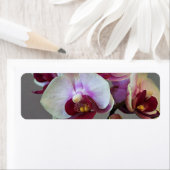 Miniatuur Orchidee Etiket (Insitu)