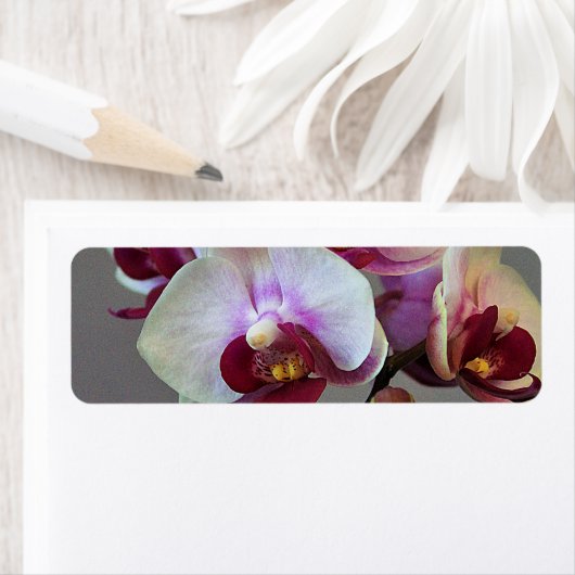 Miniatuur Orchidee Etiket (Insitu)