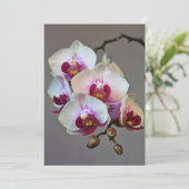 Miniatuur Orchidee Kaart (Staand voorkant)