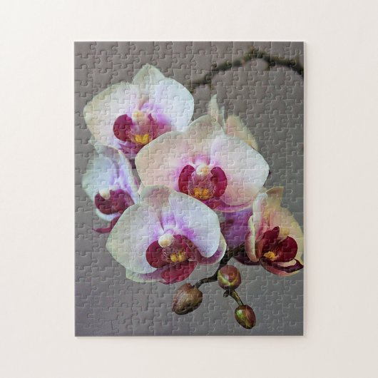 Miniatuur Orchidee Legpuzzel (Verticaal)
