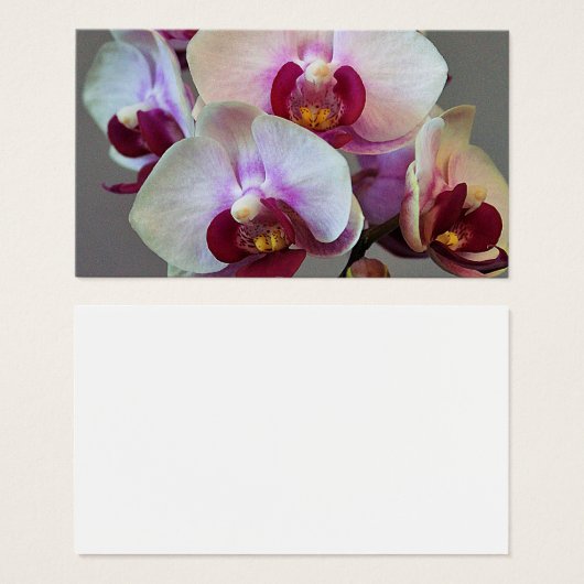 Miniatuur Orchidee Visitekaartje (Voorkant /achterkant)
