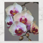 Miniatuur Orchidee Wijn Etiket (Enkel label)