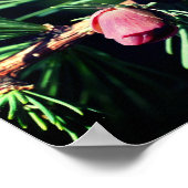 Miniatuur Pijnkegels Spiegel Abstract Poster (Hoek)